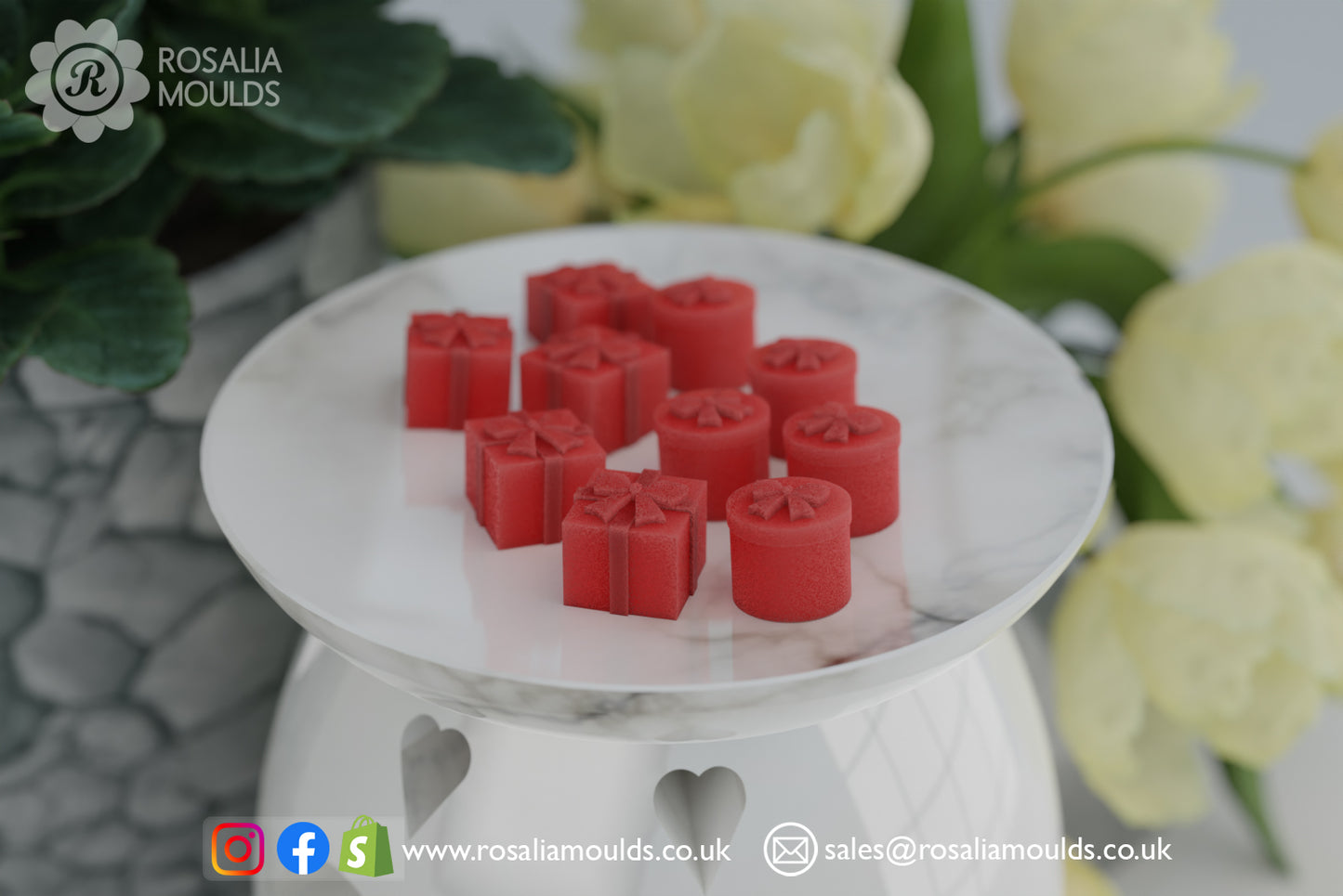 3D Presents 10 Cavity Wax Melt Mould