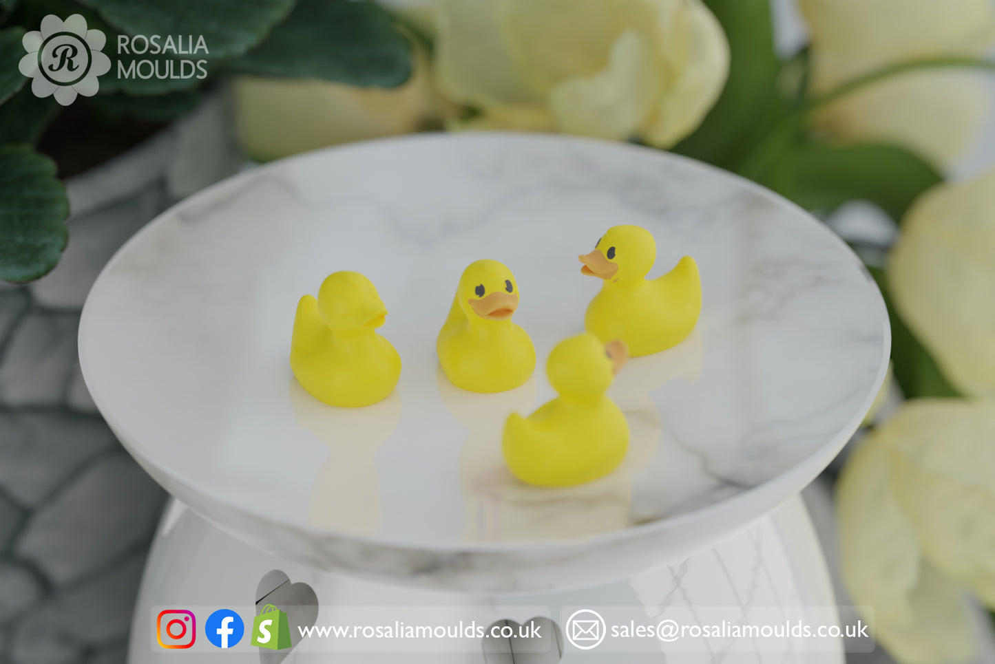 Ducks 4 Cavity Wax Melt Mould