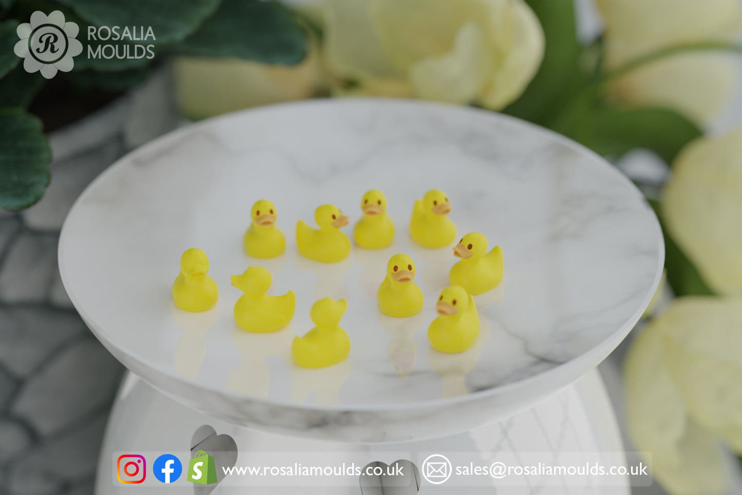 Ducklings 10 Cavity Wax Melt Mould