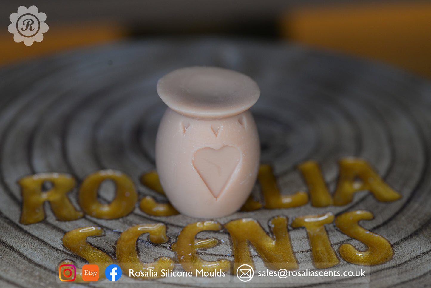 3D Wax Burner Wax Melt Mould