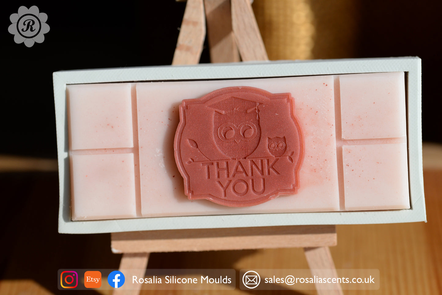 "Thank You" Teacher Owl and Student Snap Bar Mould