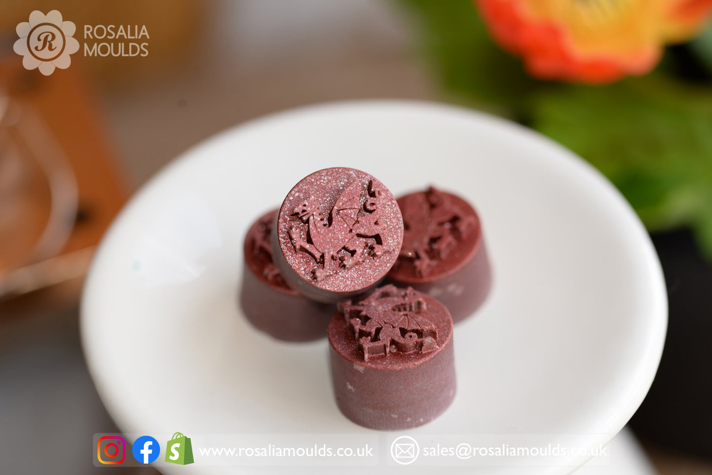 'Welsh Dragon' 10 Cavity Wax Melt Mould