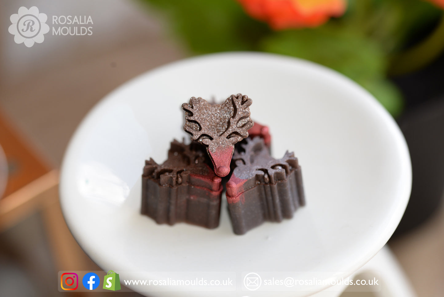 Christmas 'Reindeer' 10 Cavity Wax Melt Mould