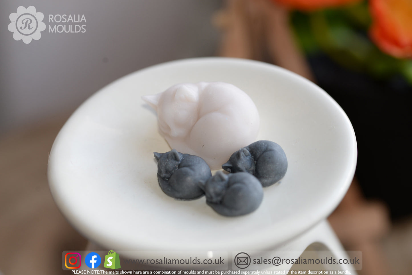 'Sleeping Cats' 4 Cavity Wax Melt Mould