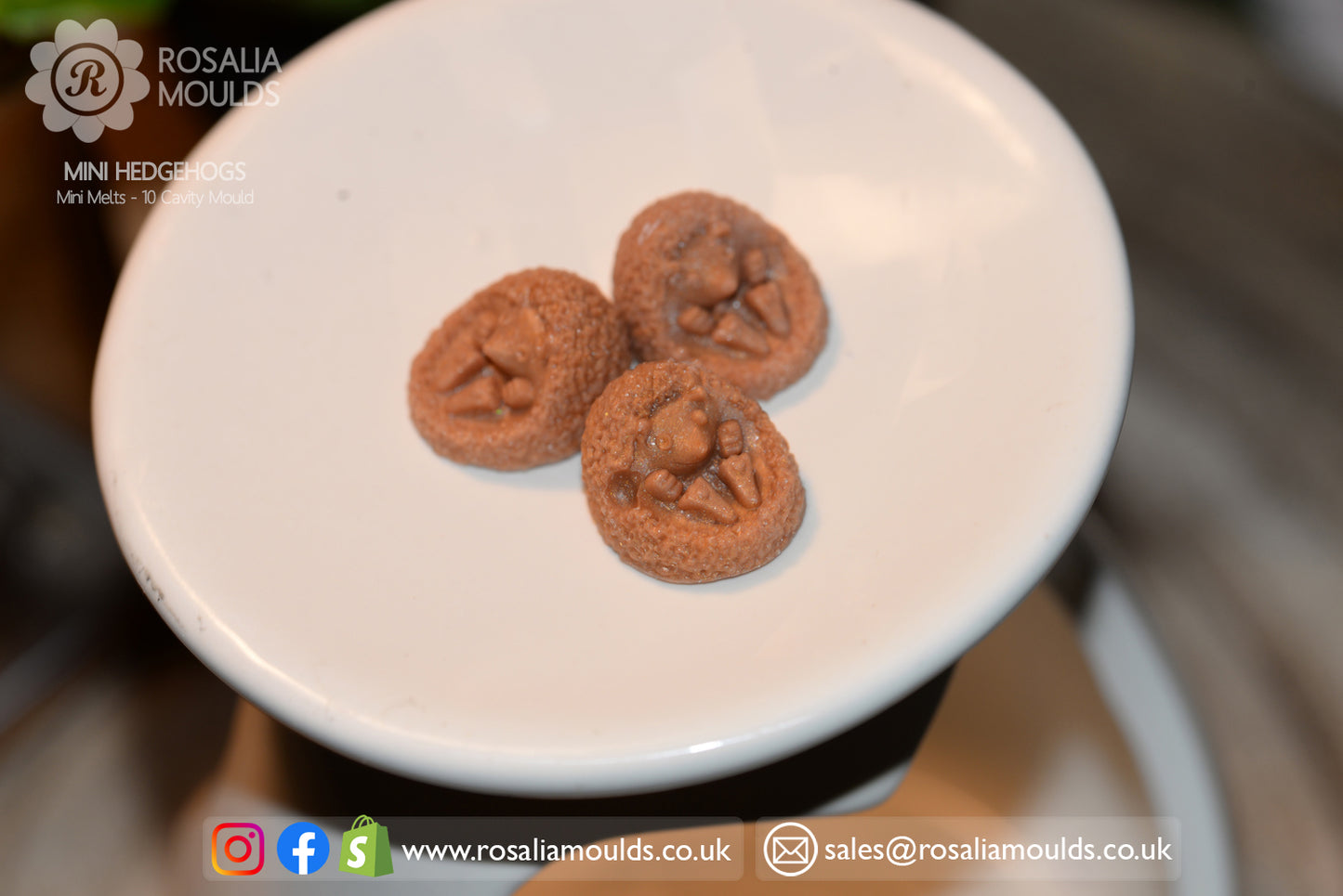 'Mini Hedgehogs' 10 Cavity Wax Melt Mould