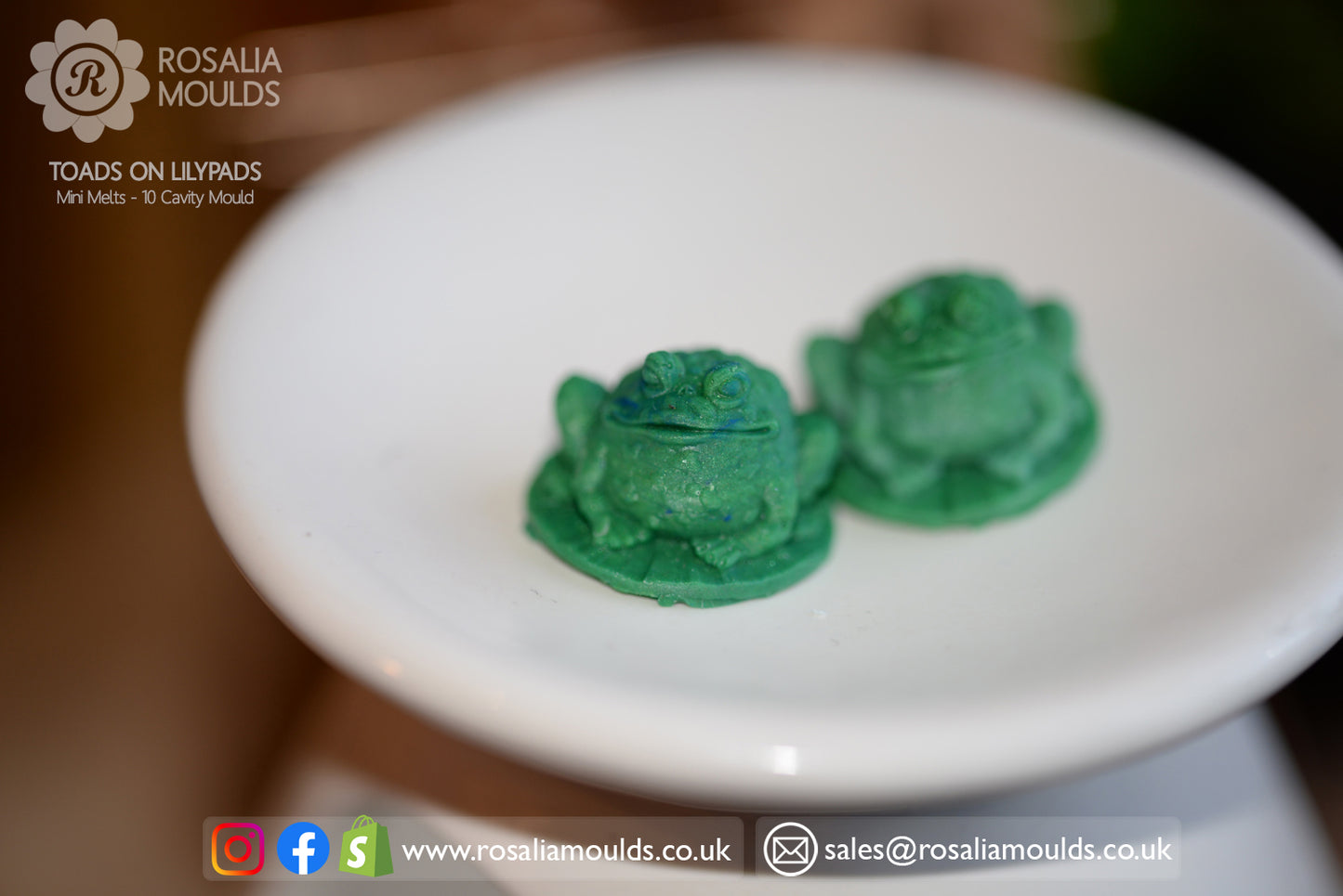 'Toads on Lilypads' 10 Cavity Wax Melt Mould