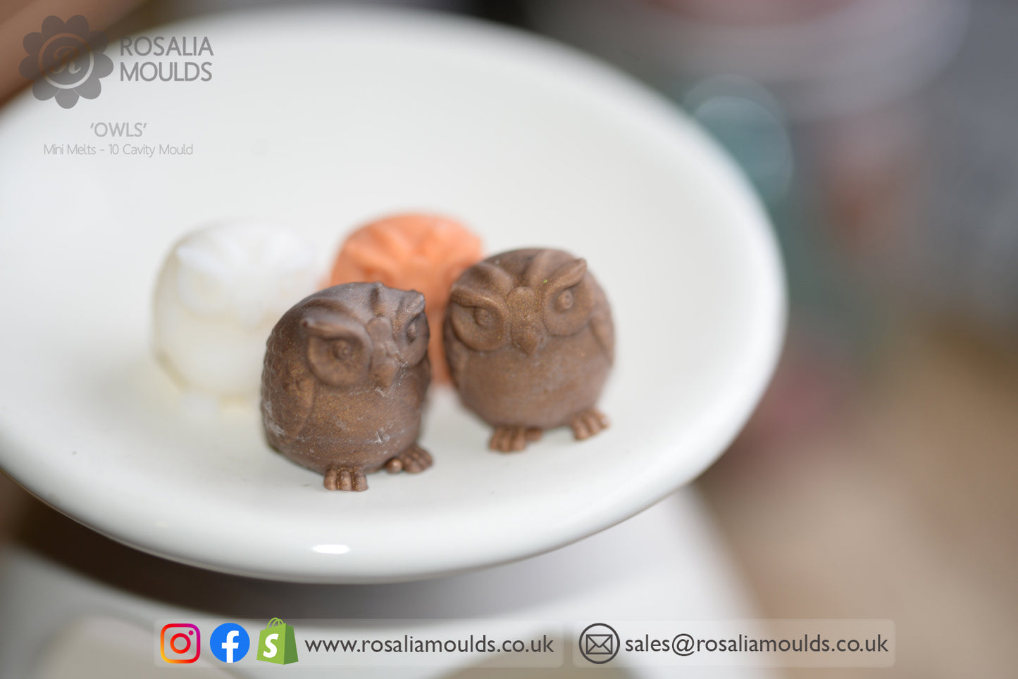 'Owls' 10 Cavity Wax Melt Mould