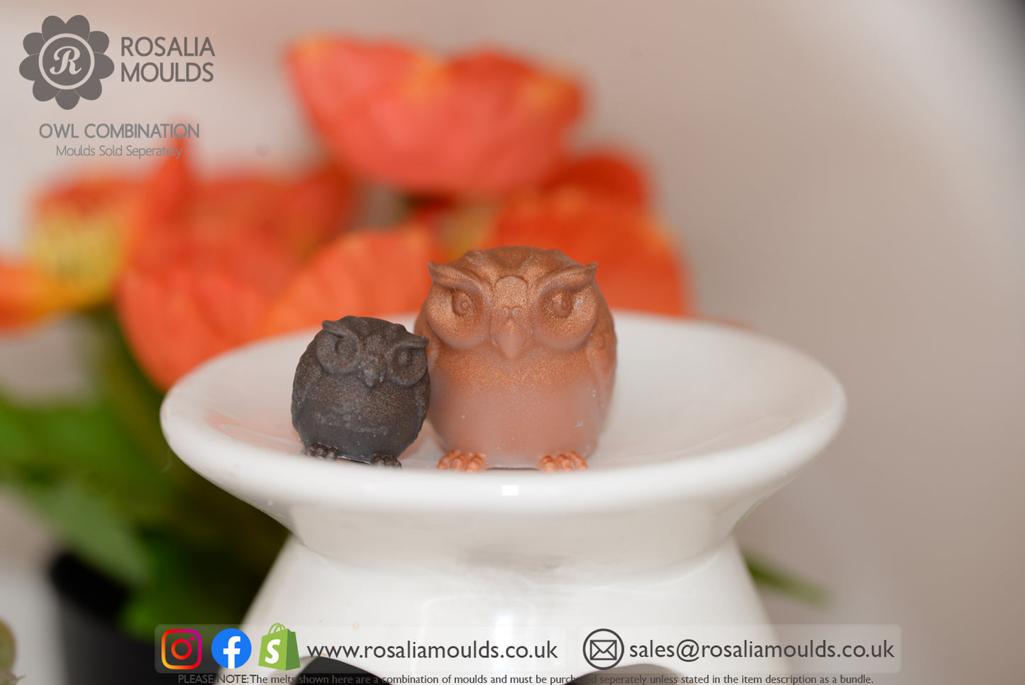 'Large Owls' 4 Cavity Wax Melt Mould