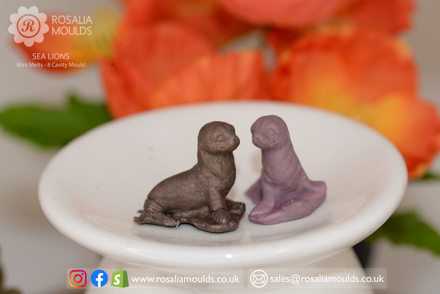 'Sea Lions' 8 Cavity Wax Melt Mould