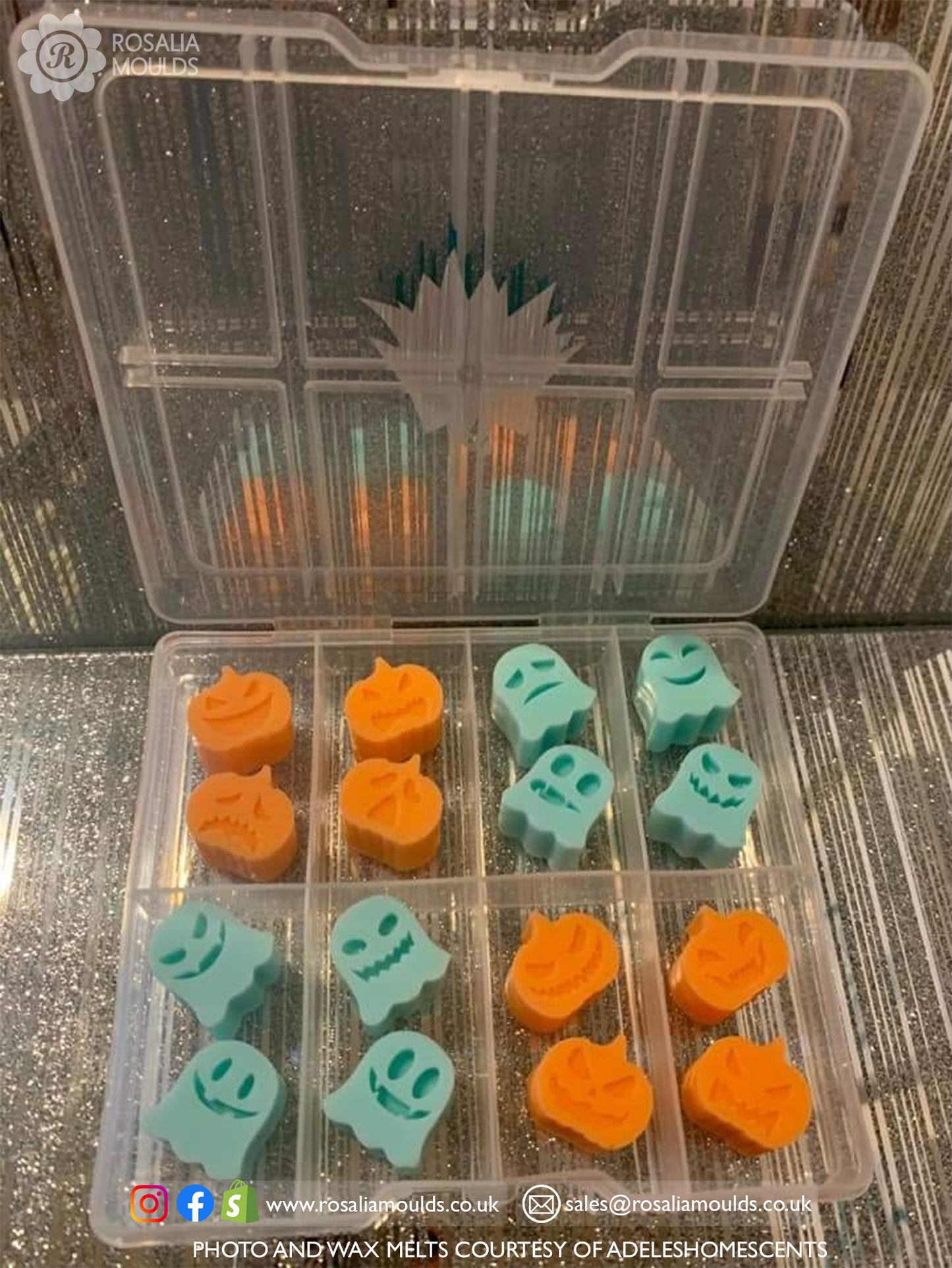 Halloween Pumpkin Wax Melts 10 Cavity Mould