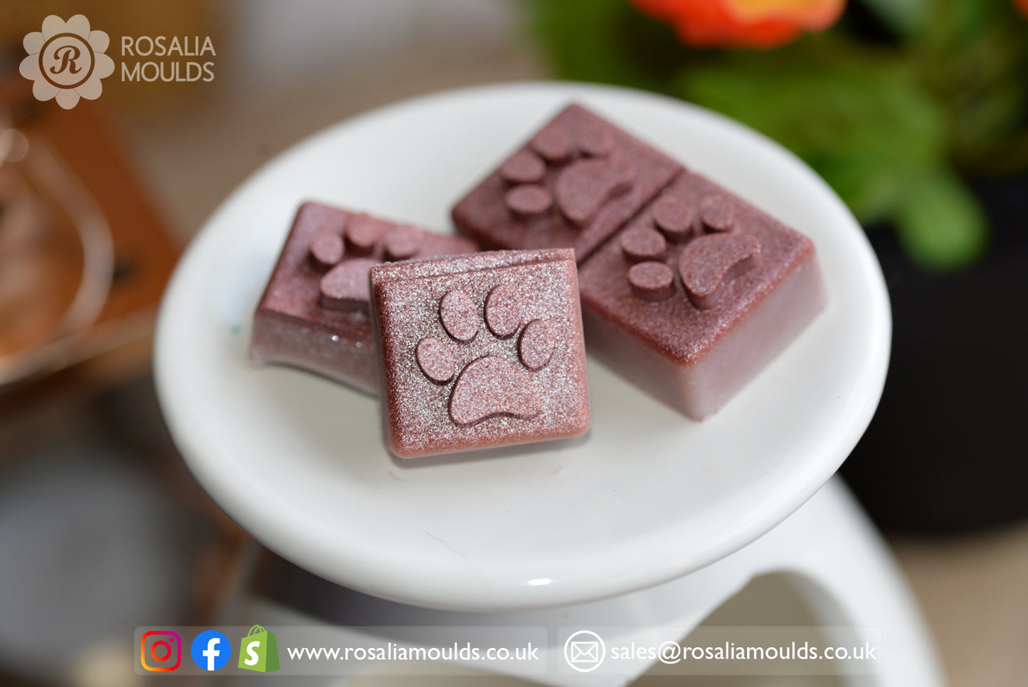 HB 'Paws' 4 Cavity Wax Melt Mould