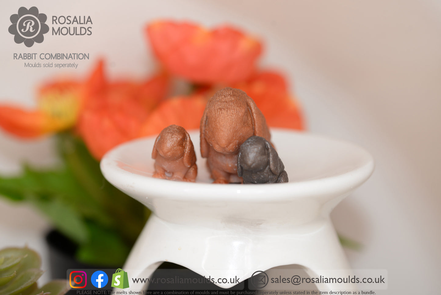 'Larger Bunnies' 4 Cavity Rabbit Wax Melt Mould