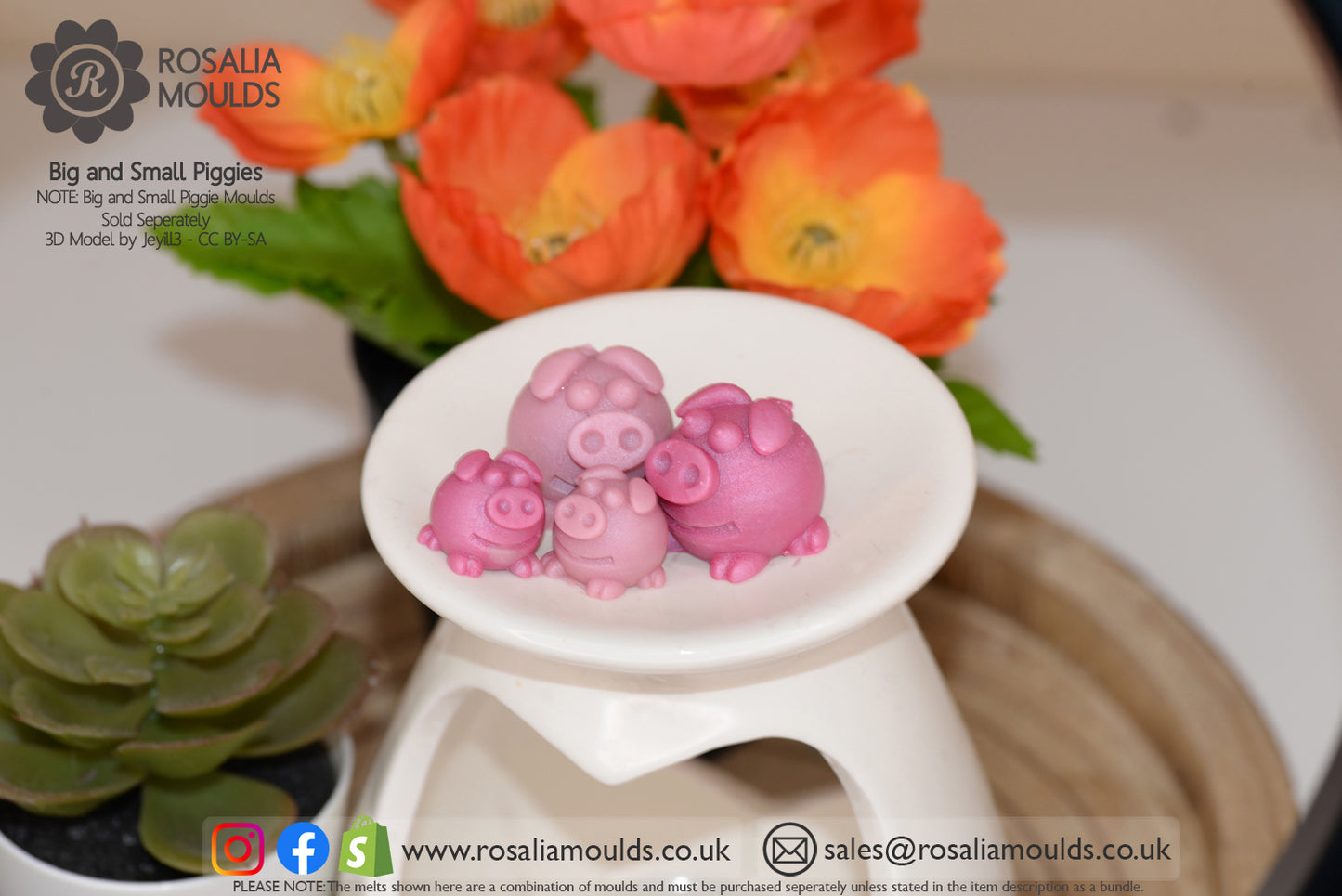 'Big Piggy' 4 Cavity Wax Melt Mould