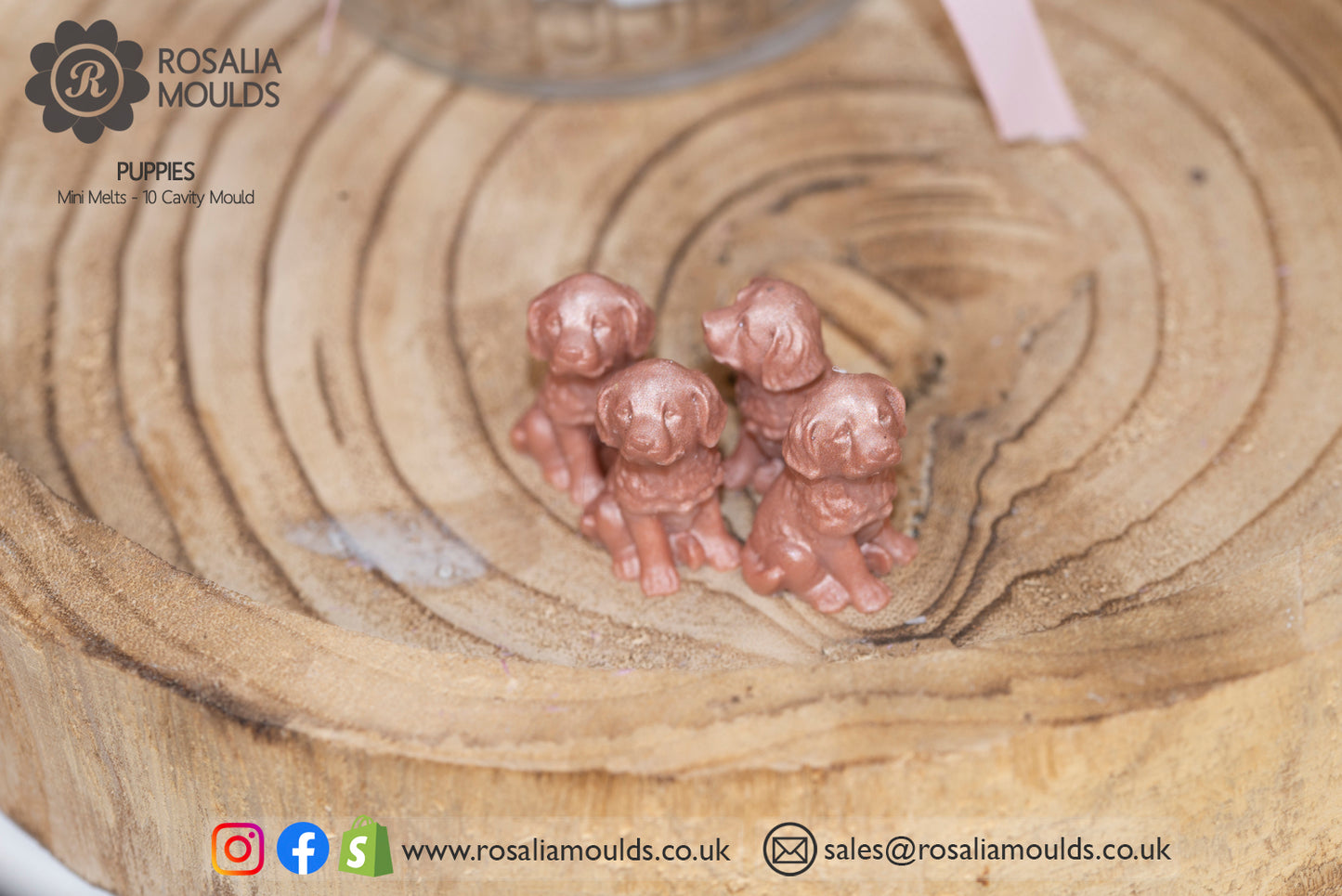 'Puppies' 10 Cavity Wax Melt Mould