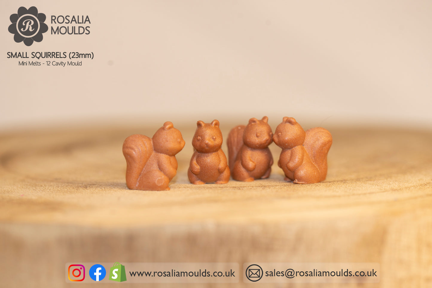 'Small Squirrels' 12 Cavity Wax Melt Mould