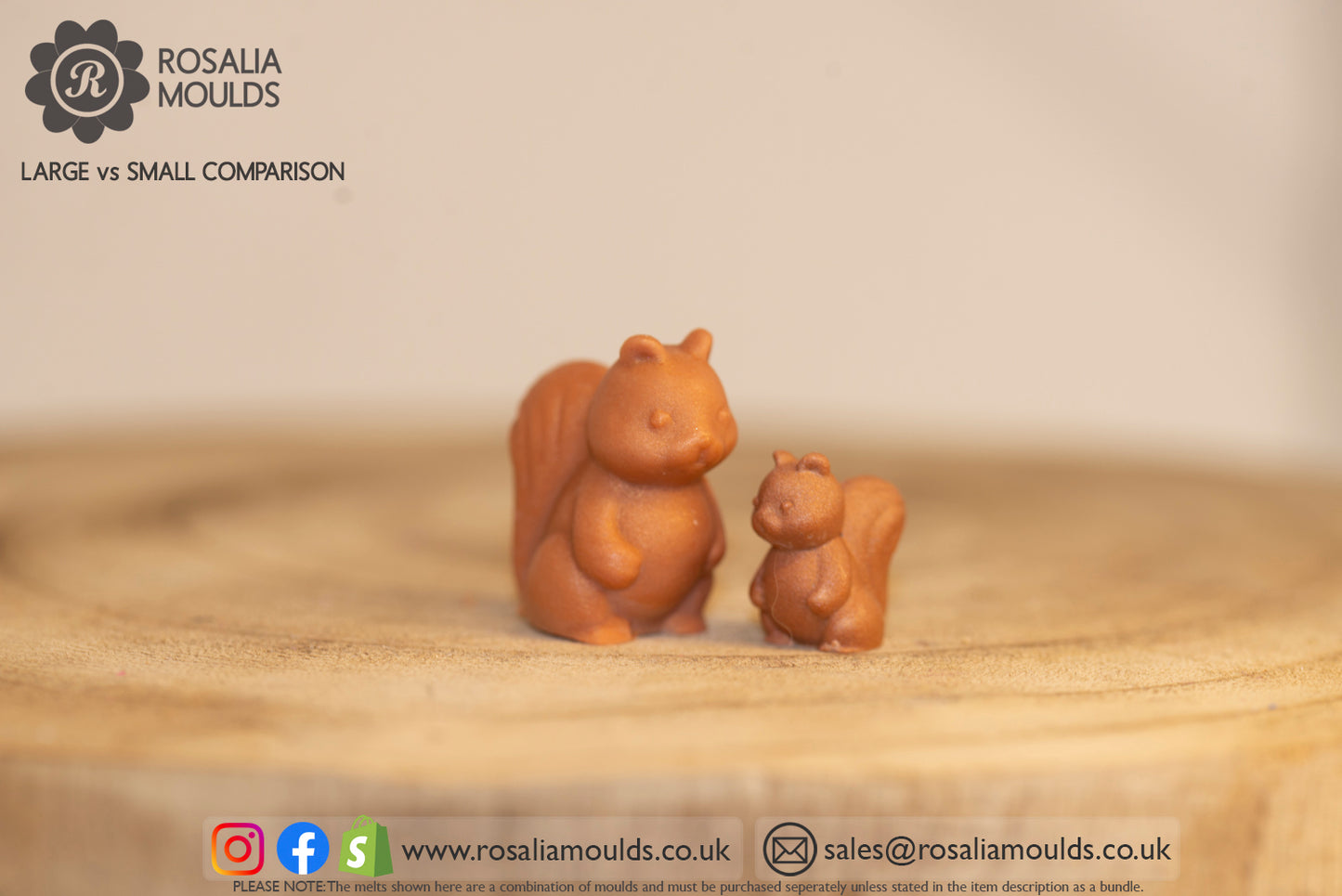 'Large Squirrels'  4 Cavity Wax Melt Mould