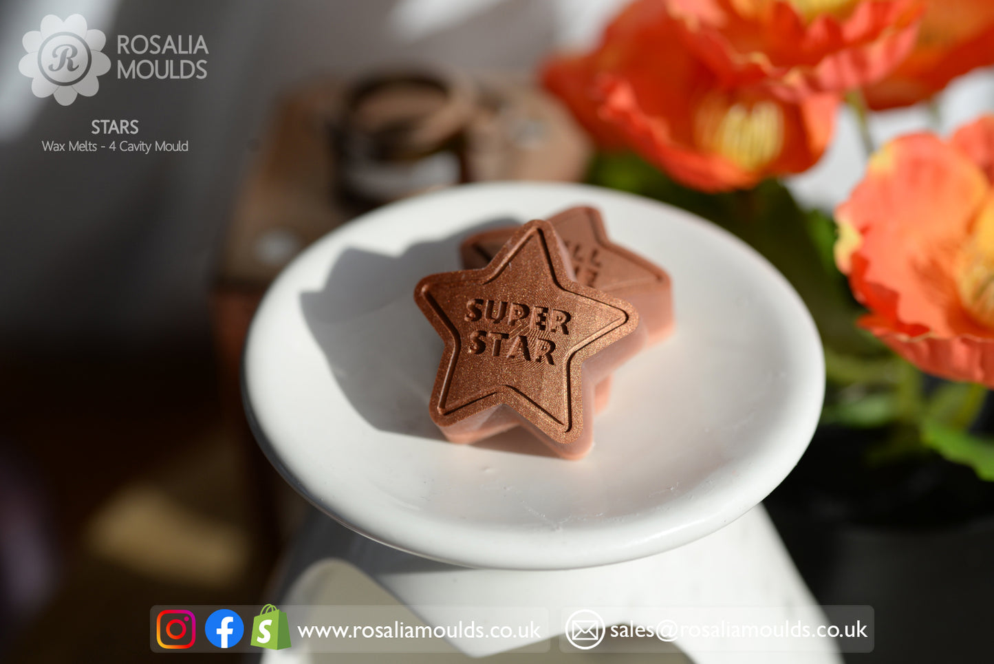 'Stars' 4 Cavity Wax Melt Mould