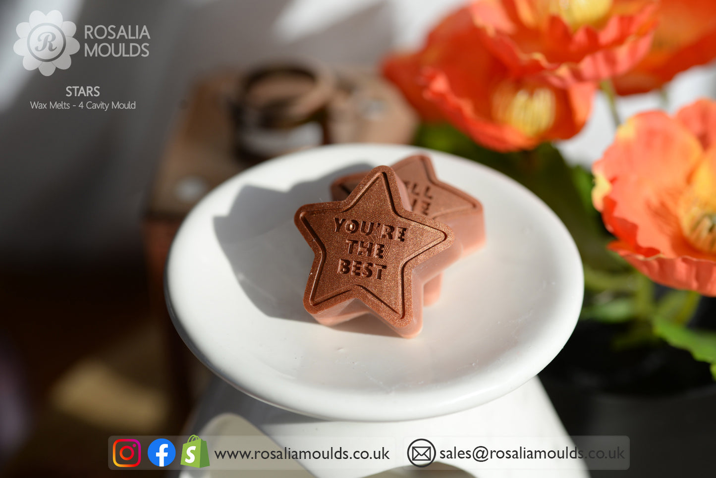 'Stars' 4 Cavity Wax Melt Mould